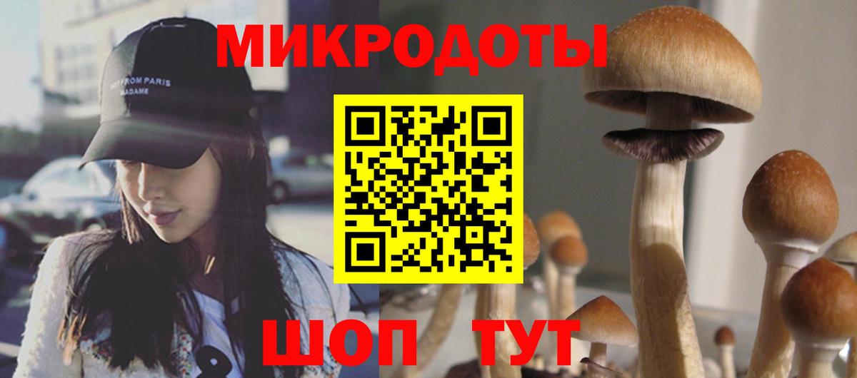 Псилоцибиновые грибы прущие грибы  Вход с VPN  Рубцовск  Псилоцибиновые грибы Psilocybe 